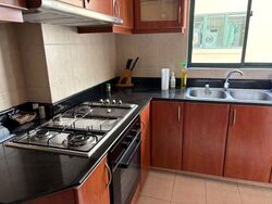 The Bencoolen (D7), Apartment #536662481